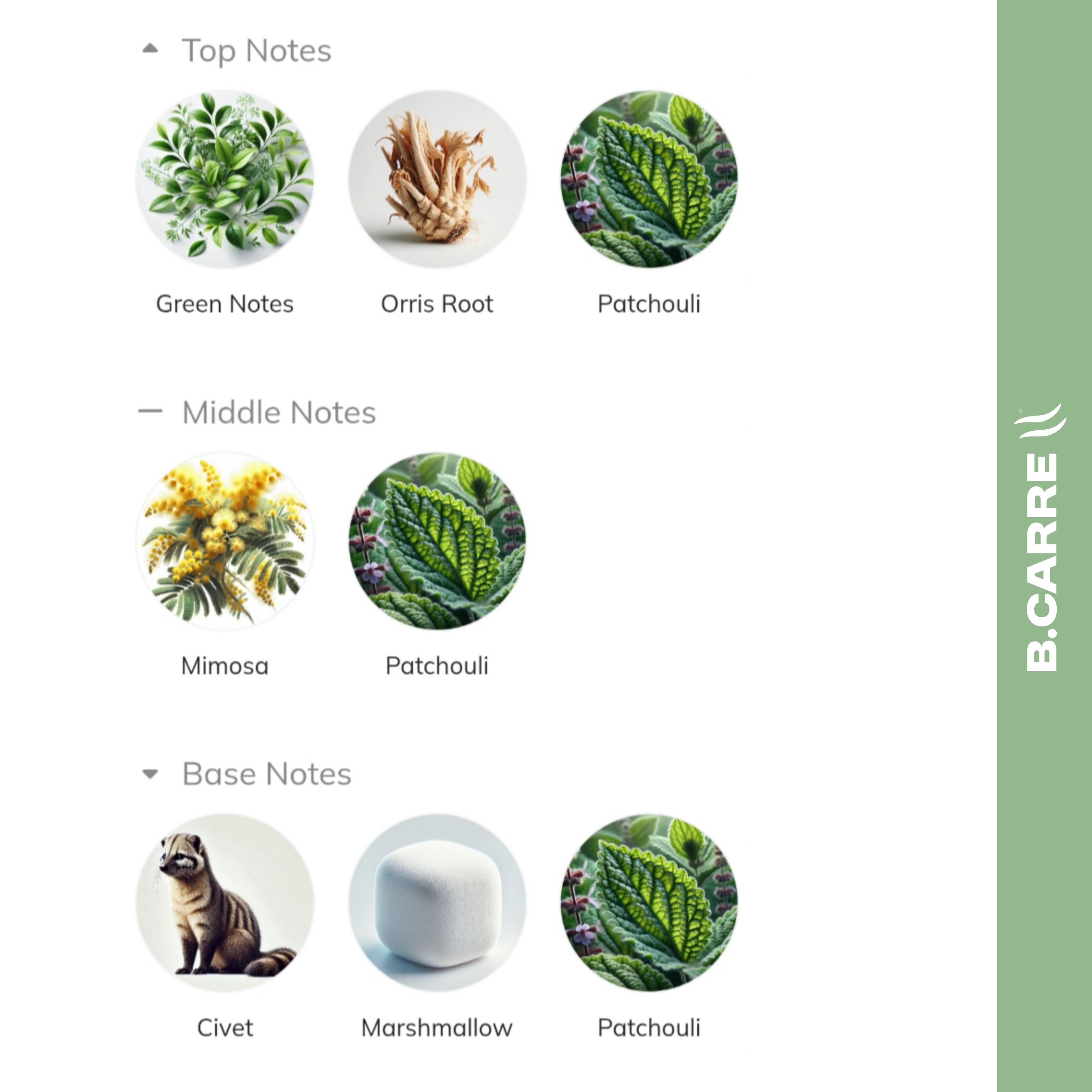 Vertus Sole Patchouli